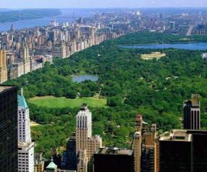 пазл Воздушное видом на Центральный Парк, Нью-Йорк